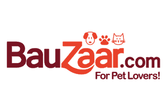 Bauzaar